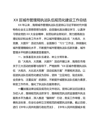 XX区城市管理局执法队伍规范化建设工作总结