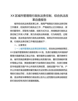 XX区城市管理局行政执法责任制、综合执法改革自查报告