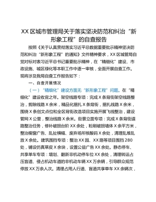 XX区城市管理局关于落实坚决防范和纠治“新形象工程”的自查报告