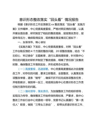 意识形态整改落实“回头看”情况报告