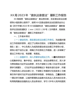 XX局2023年“谁执法谁普法”履职工作报告