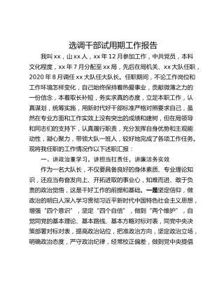 选调干部试用期工作报告