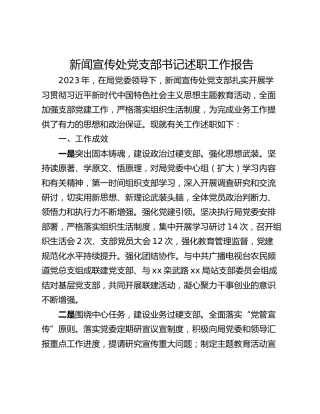 新闻宣传处党支部书记述职工作报告