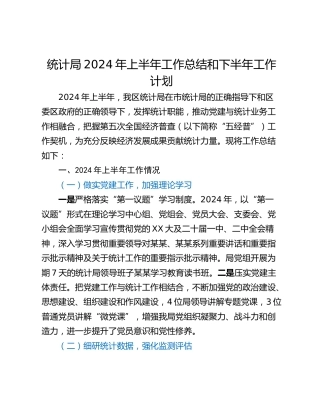 统计局2024年上半年工作总结和下半年工作计划_1