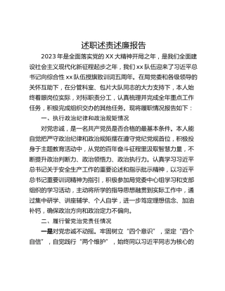 述职述责述廉报告