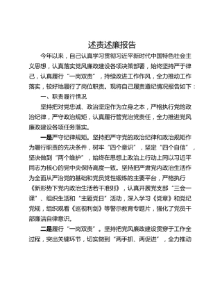 述责述廉报告_1