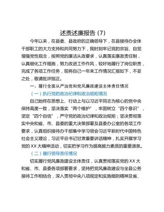 述责述廉报告 (7)