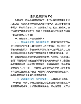 述责述廉报告 (5)