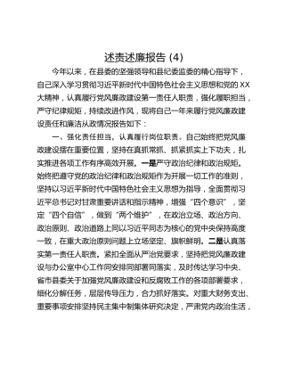 述责述廉报告 (4)