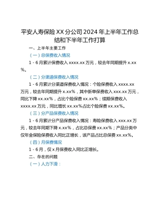 平安人寿保险XX分公司2024年上半年工作总结和下半年工作打算