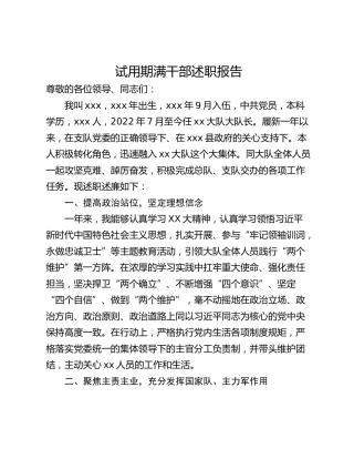 试用期满干部述职报告
