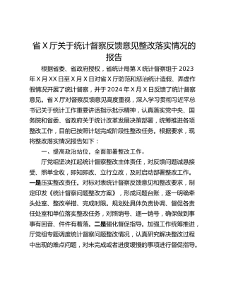省X厅关于统计督察反馈意见整改落实情况的报告