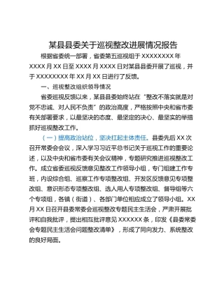某县县委关于巡视整改进展情况报告