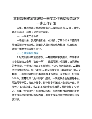 某县数据资源管理局一季度工作总结报告及下一步工作计划