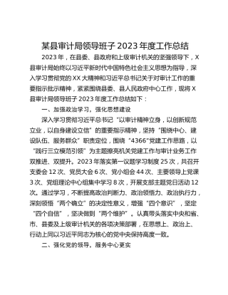 某县审计局领导班子2023年度工作总结