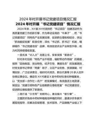 2024年村开展书记党建项目情况汇报