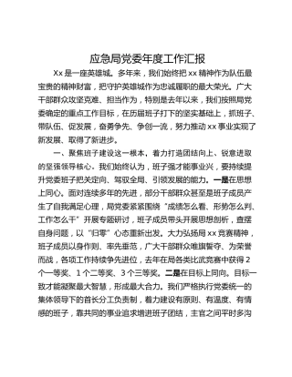 应急局党委年度工作汇报