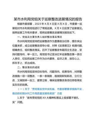 某市水利局党组关于巡察整改进展情况的报告