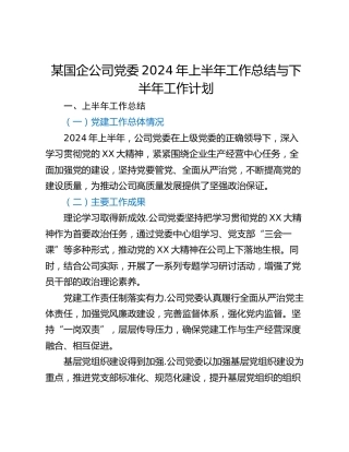 某国企公司党委2024年上半年工作总结与下半年工作计划