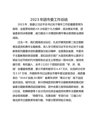 2023年团市委工作总结