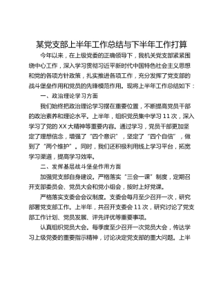 某党支部上半年工作总结与下半年工作打算
