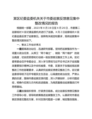 某区纪委监委机关关于市委巡察反馈意见集中整改情况的报告
