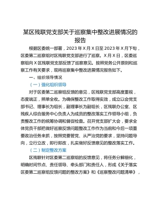 某区残联党支部关于巡察集中整改进展情况的报告