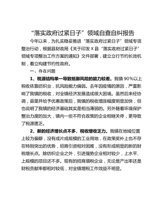 “落实政府过紧日子”领域自查自纠报告