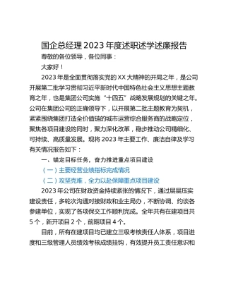 国企总经理2023年度述职述学述廉报告