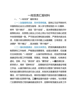 一岗双责汇报材料