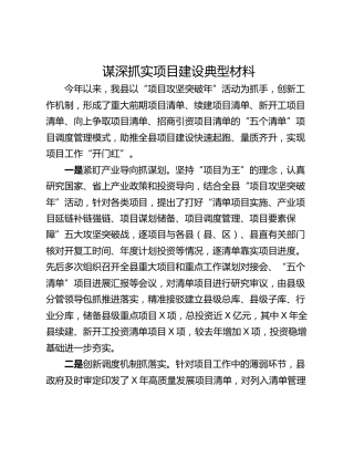 谋深抓实项目建设典型材料