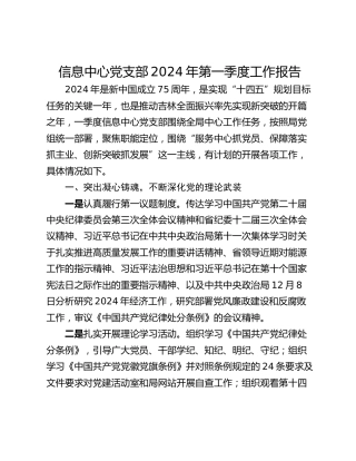 信息中心党支部2024年第一季度工作报告