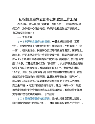 纪检督查室党支部书记抓党建工作汇报