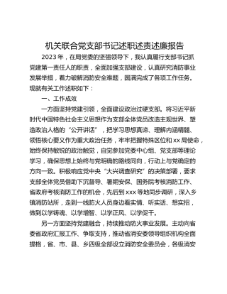 机关联合党支部书记述职述责述廉报告