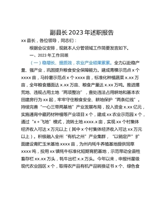 副县长2023年述职报告