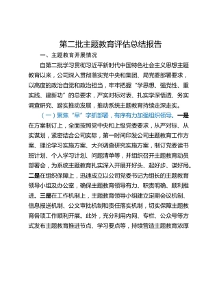 第二批主题教育评估总结报告