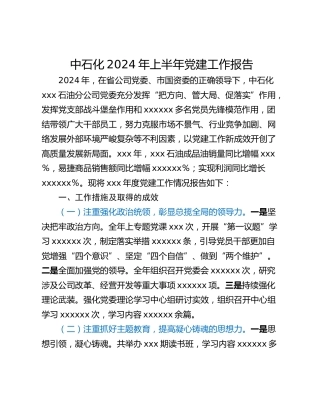 中石化2024年上半年党建工作报告