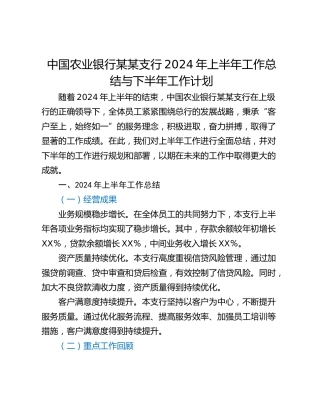 中国农业银行某某支行2024年上半年工作总结与下半年工作计划