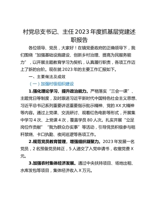 村党总支书记、主任2023年度抓基层党建述职报告