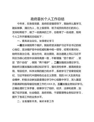 政府县长个人工作总结_1