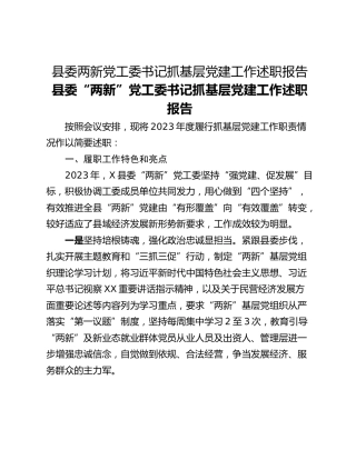 县委两新党工委书记抓基层党建工作述职报告