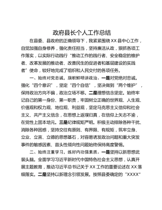 政府县长个人工作总结