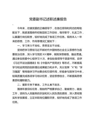 党委副书记述职述廉报告