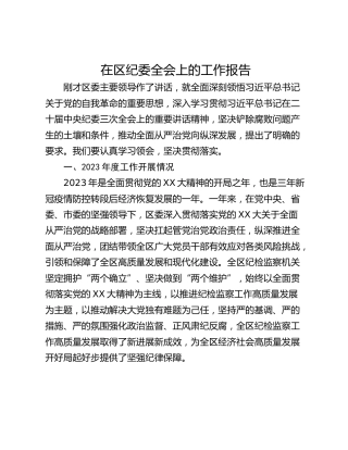 在区纪委全会上的工作报告