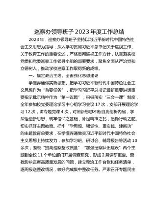 巡察办领导班子2023年度工作总结