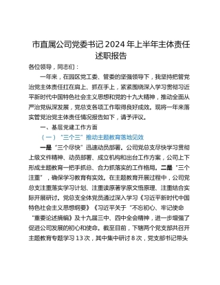 市直属公司党委书记2024年上半年主体责任述职报告
