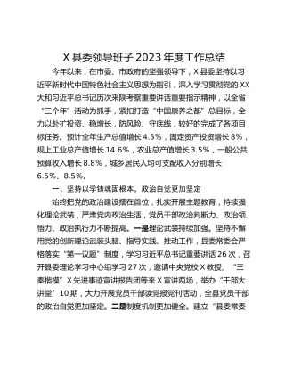 X县委领导班子2023年度工作总结