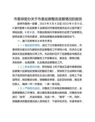 市委保密办关于市委巡察整改进展情况的报告