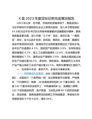 X县2023年度目标任务完成情况报告