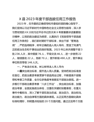 X县2023年度干部选拔任用工作报告